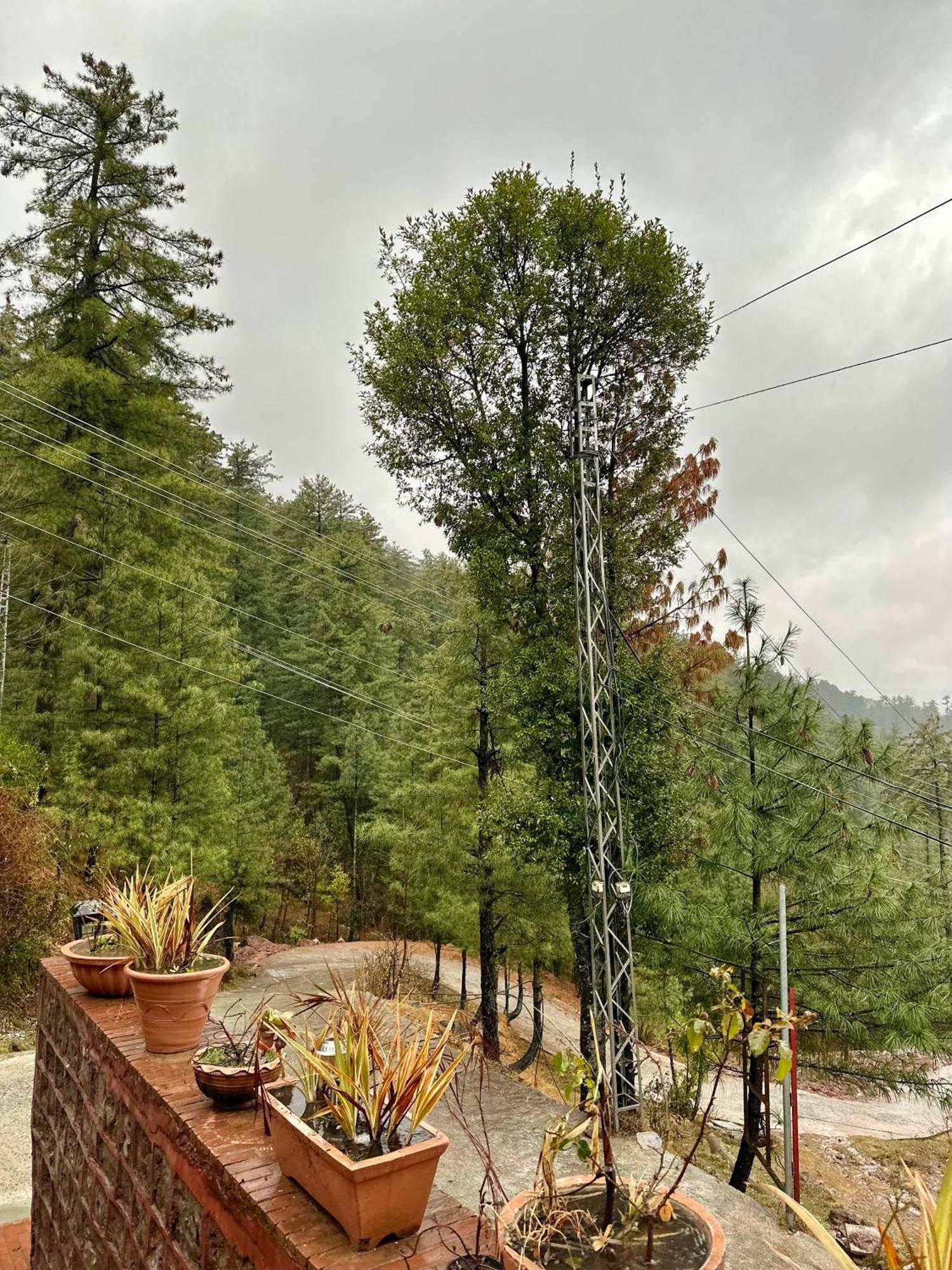 Sarah'S Lodge Murree Ngoại thất bức ảnh
